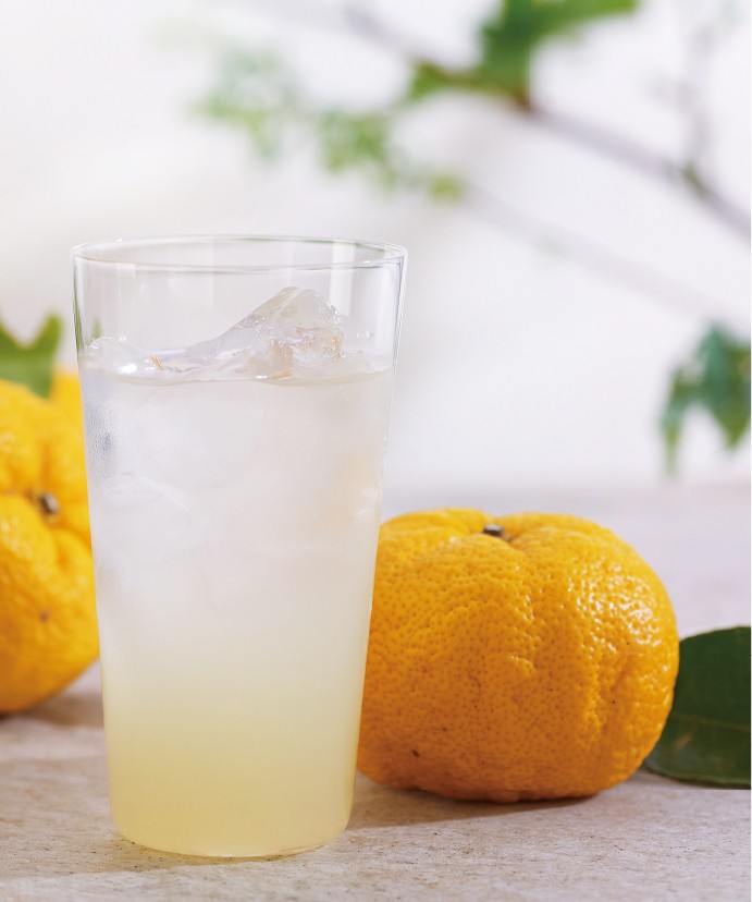 【春夏限定】飲む酢　ゆず