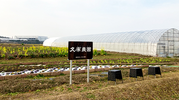【総本店からのお知らせ】