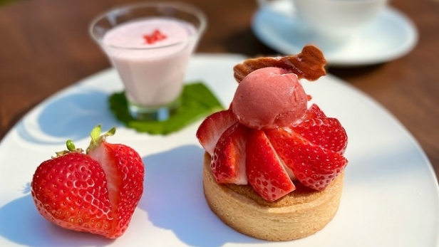 茶舎《数量限定》苺タルトはじめます