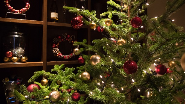 《12/23～12/25・3日間限定》クリスマスディナーコース2023のご案内